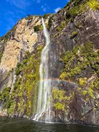 Milford Sound isn’t just a destination — it’s an experience in motion. 