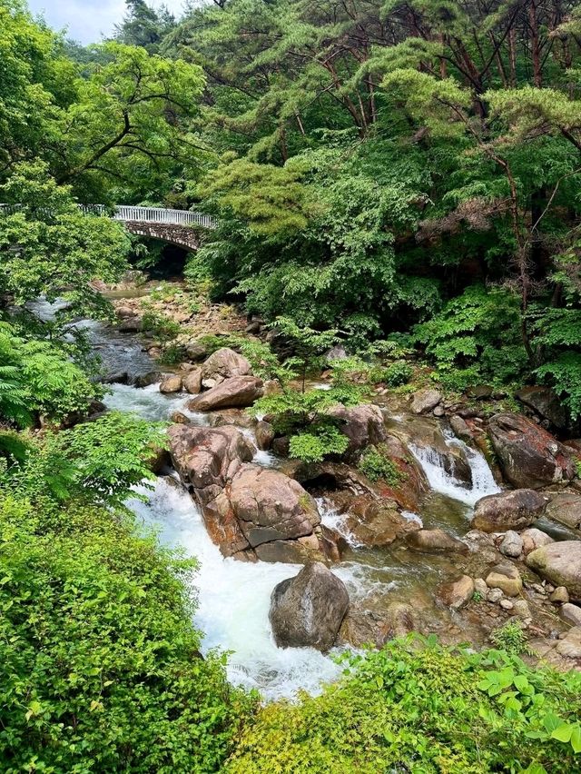 Temple Tranquility at Hwaeomsa