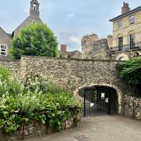 Reading Museum & Forbury Gardens
