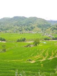 "Tavan Village: A Peaceful Escape in the Heart of Sapa"