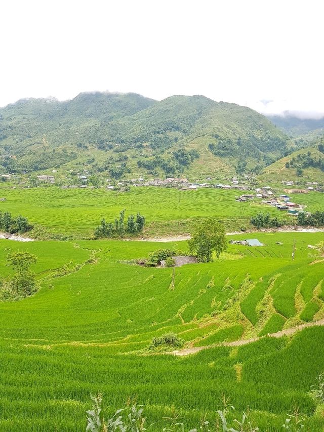 "Tavan Village: A Peaceful Escape in the Heart of Sapa"