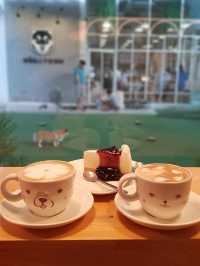 "The cutest dog café 🐶 @ Dog in Town!”