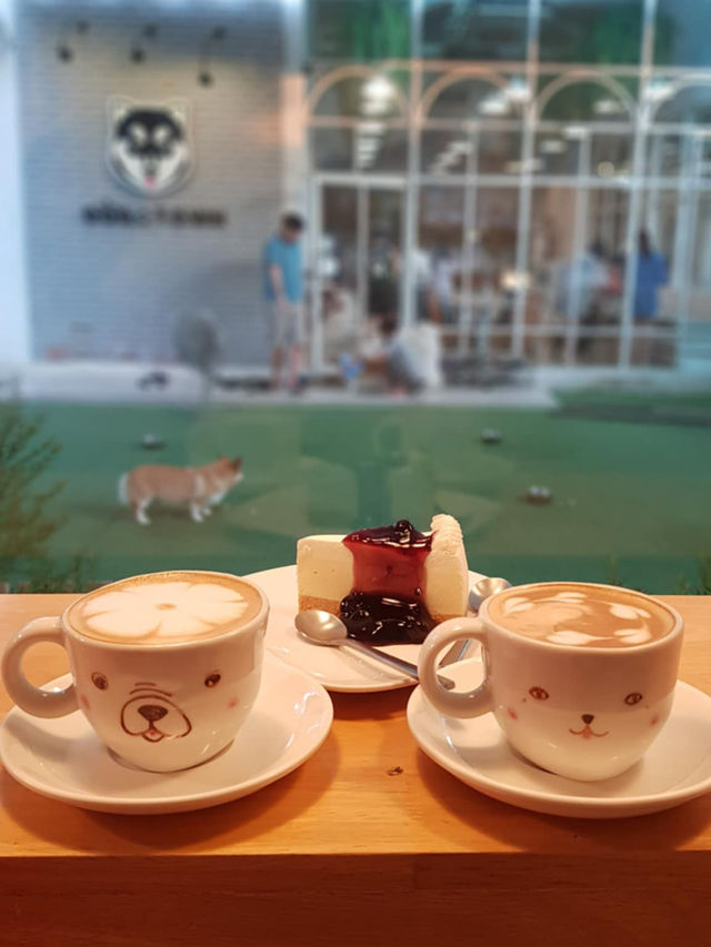 "The cutest dog café 🐶 @ Dog in Town!”