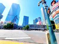 Shibuya Moments: From the Crossing to Hachikō
