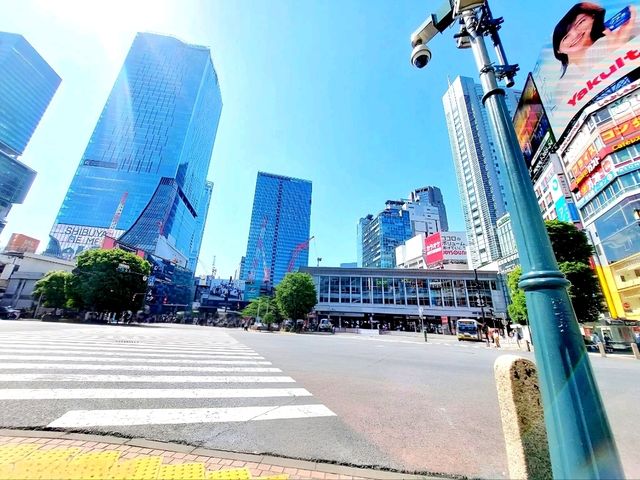 Shibuya Moments: From the Crossing to Hachikō