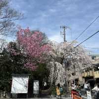【ROKU KYOTO】ホテルステイを満喫する！
