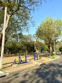 都市と自然が共存！ルンピニー公園徹底活用＆観察ガイド