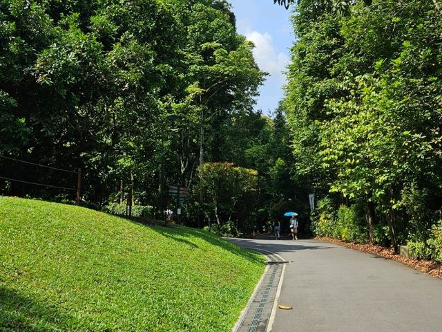 Go Green at Botanic Gardens (HOT, literally 🌞)