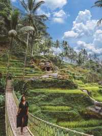 Jatiluwih Rice Terraces