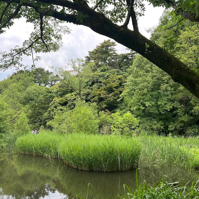 Institute for Nature Study (Minato)