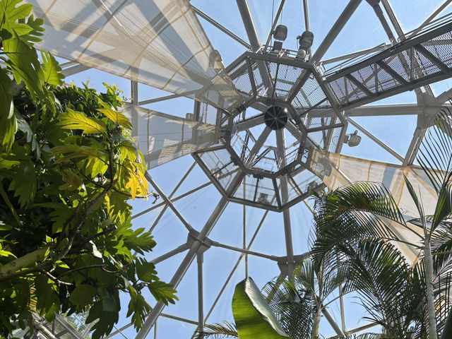 神戶布引香草園的愛情故事 🌹💖