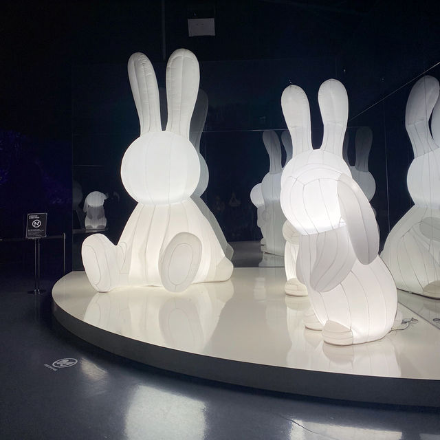 ARTE MUSEUM 釜山館：沉浸式藝術的新境界