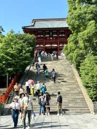 🏯⛩️ Kamakura Day Trip: Temples, Streets & Sea Breeze 🌸