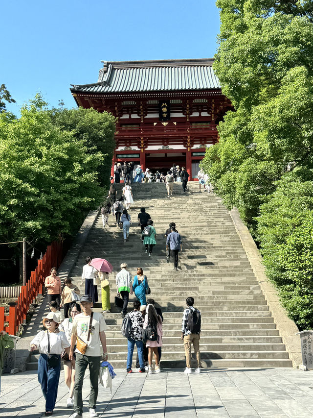 🏯⛩️ Kamakura Day Trip: Temples, Streets & Sea Breeze 🌸