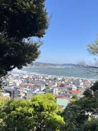 🌸🪷🌊 Hasedera Temple – Where Flowers Meet the Sea in Kamakura