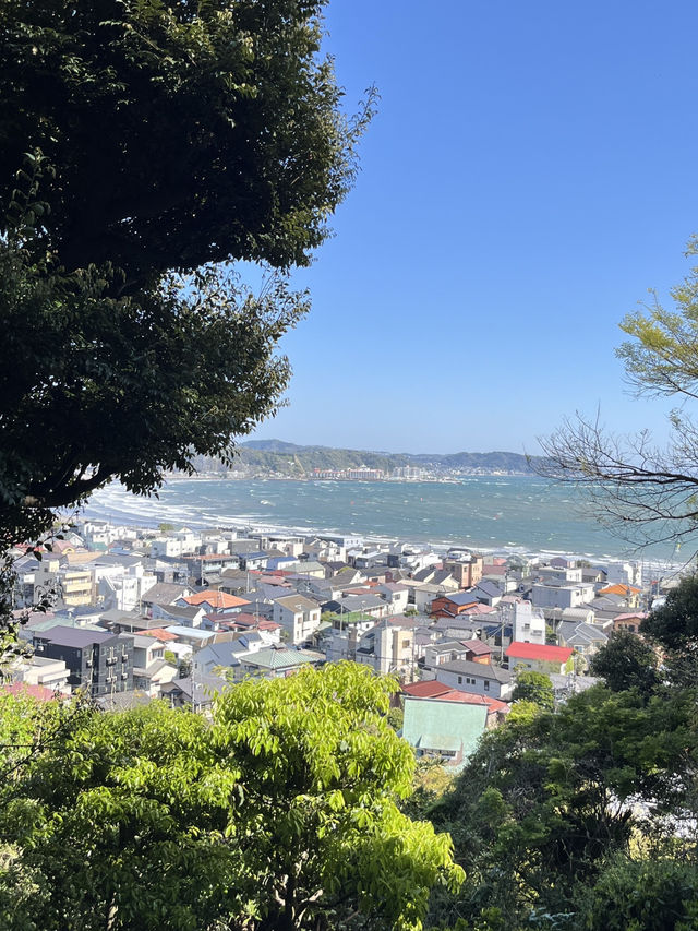 🌸🪷🌊 Hasedera Temple – Where Flowers Meet the Sea in Kamakura