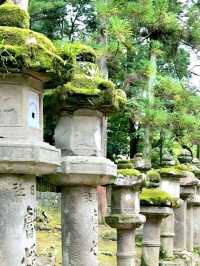 Deer & Serenity: A Stroll Through Nara Park