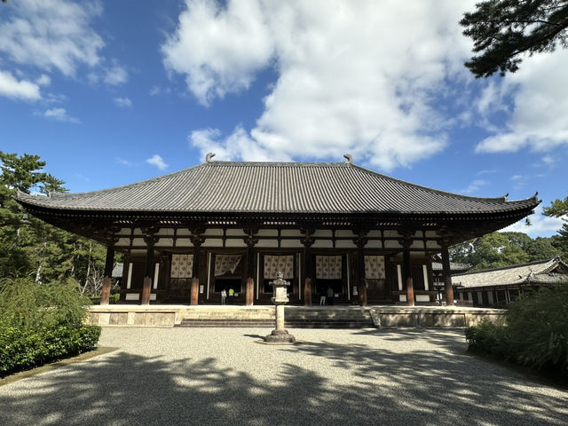唐招提寺：探索奈良的佛教瑰寶，感受千年文化的深厚底蘊！
