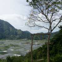 Lombok with love