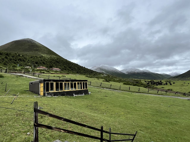 🌈 Kangding’s Muya Holy Land – Where Summer Brings Snow & Rainbows ❄️🐾