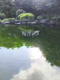 韓國 濟州島 西歸浦 藥泉寺 東亞最大的佛教寺廟之一 獨特的住宿計畫