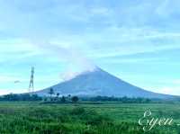 Cone shape Mayon Volcano