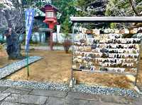 Echoes of Edo at Kan'ei-ji Temple complex