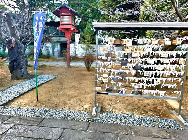 Echoes of Edo at Kan'ei-ji Temple complex
