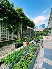 Green Escape in the City – Fullerton Farm & Outdoor Yard