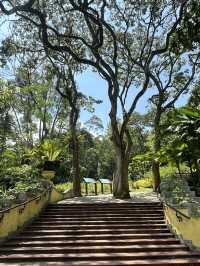 Oasis Garden: Sunday Blooming Like My Excuses