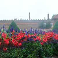 🌸 Hampton Court Palace วังของกษัตริย์เฮนรี่ที่ 8