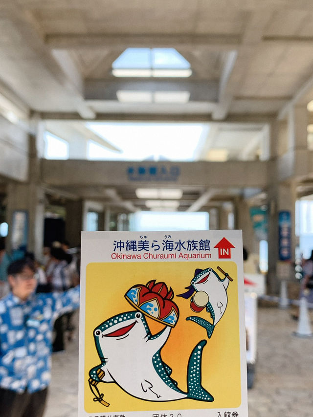 🐋오키나와에서 가장 유명한 추라우미 수족관