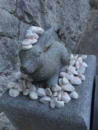 【神話の地で縁結び✨白兎神社で心清らかに】