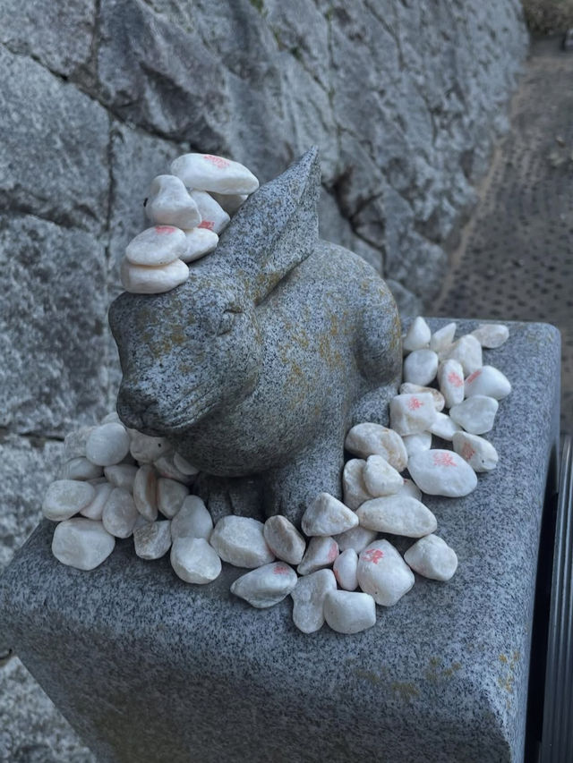 【神話の地で縁結び✨白兎神社で心清らかに】