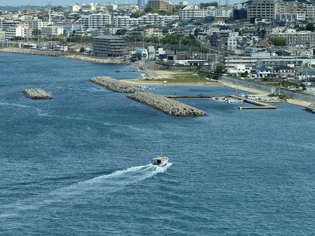 Kobe Maiko: A Half-Day Surprise (and Regret!) by the Sea! 🌊🍣