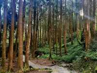 Alishan