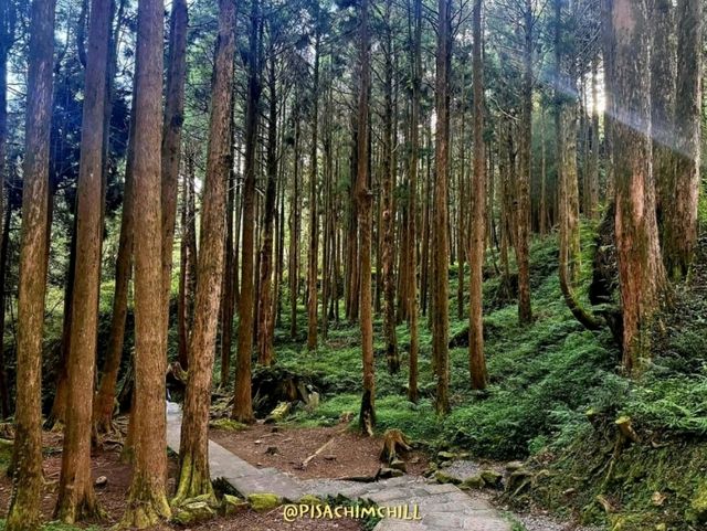 Alishan