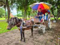 Chiang Mai Travel Guide - Discover the best of the North