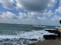 Jeju Escape: Cafe Bomnal’s Coastal Charm 