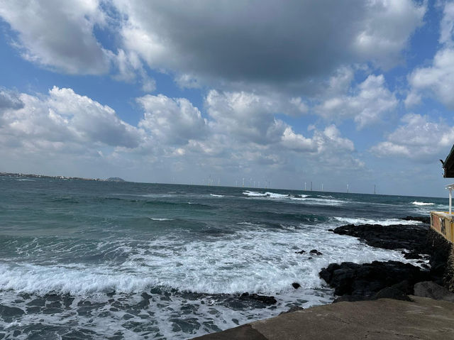 Jeju Escape: Cafe Bomnal’s Coastal Charm 