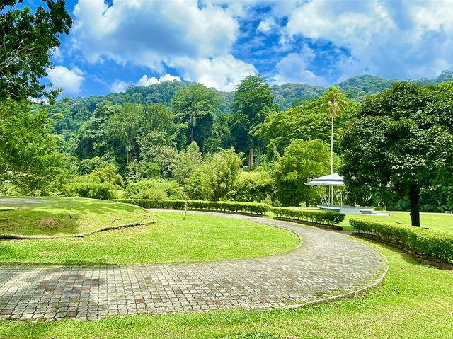 A great place to relax or get some light exercise👍👫🌳🌲😎