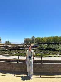 Getty Center 蓋蒂中心 | 洛杉磯藝術與建築的雙重饗宴 🎨