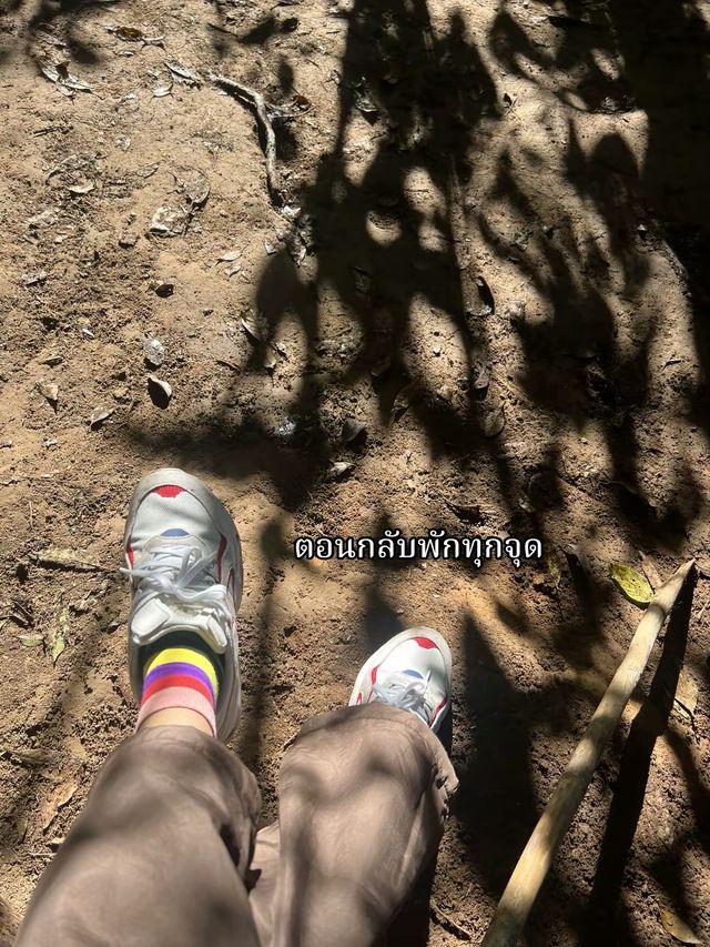กิ่วแม่ปาน