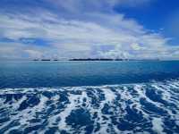 帛琉之旅 海島旅遊 浮潛 珊瑚巡禮