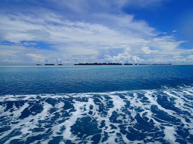 帛琉之旅 海島旅遊 浮潛 珊瑚巡禮
