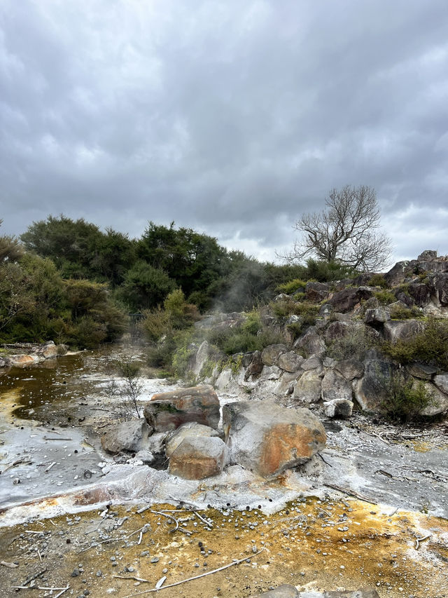 🏞 Rotorua Kuirau Park – 自然沸湯中的城市綠洲