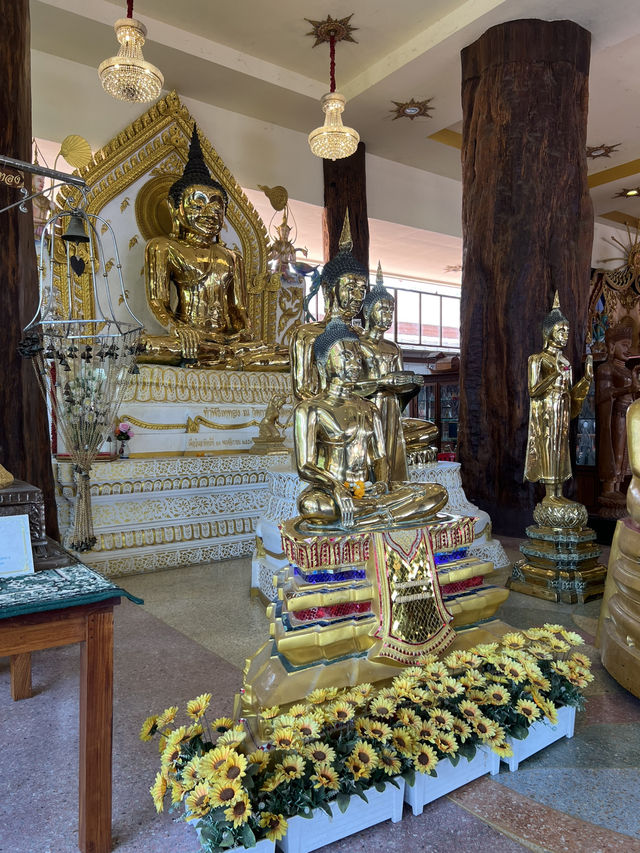 วัดกระทุ่มเสือปลา ย่านอ่อนนุช