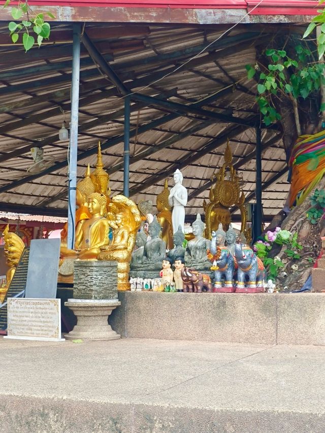 วัดพุทธมงคล อ.กันทรวิชัย จ.มหาสารคราม