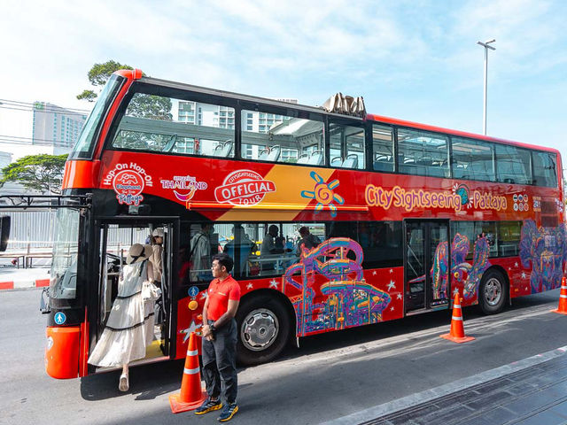 Elephant Hop-On Hop-Off Bus Tours