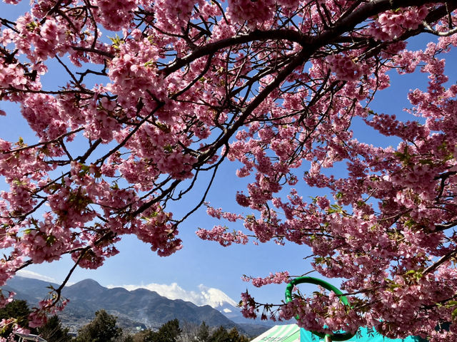 西平畑公園